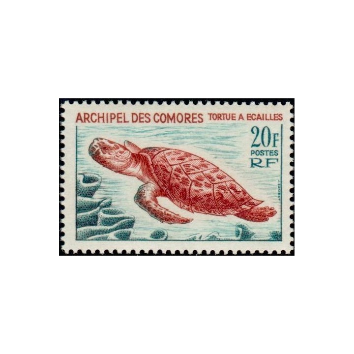 Comores - 037