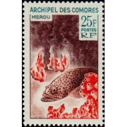 Comores - 038