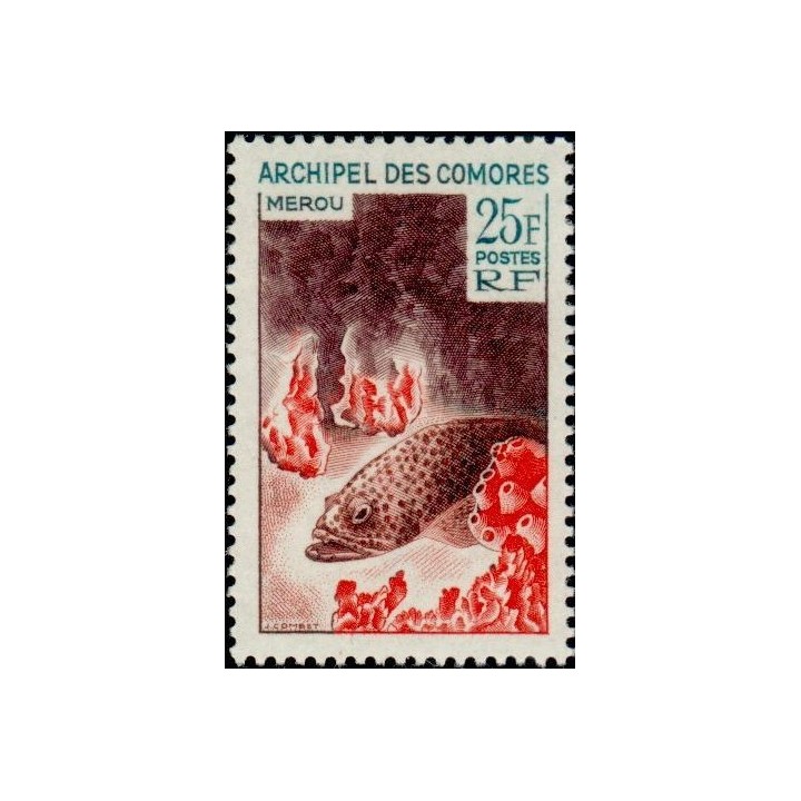 Comores - 038
