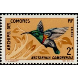 Comores - 041