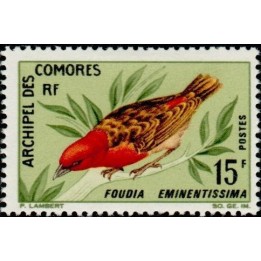 Comores - 043