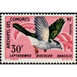 Comores - 044