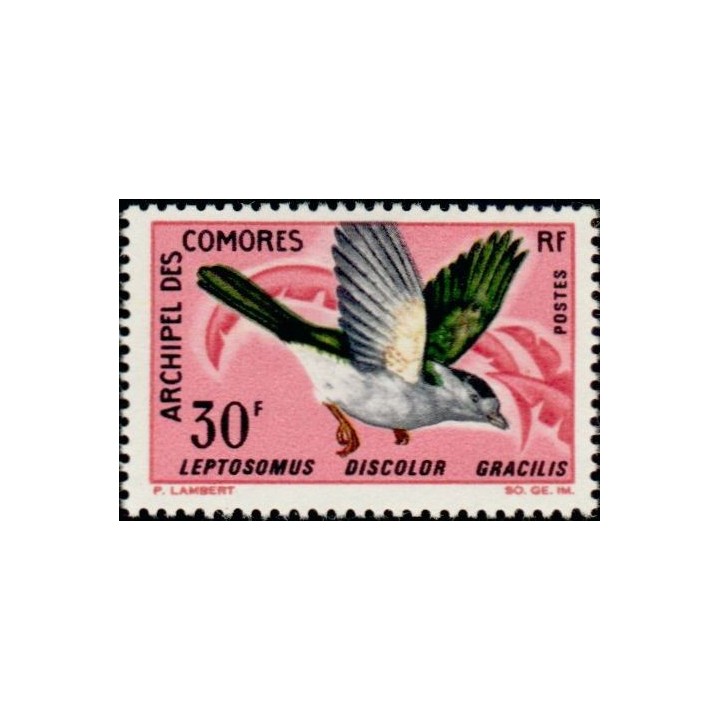 Comores - 044
