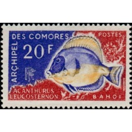Comores - 047