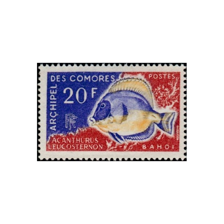 Comores - 047