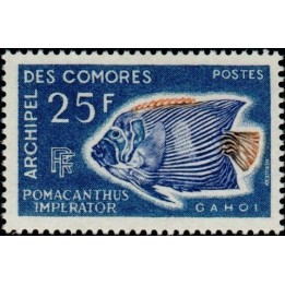 Comores - 048