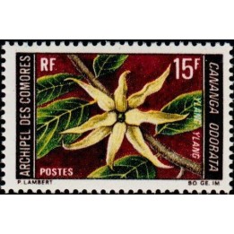 Comores - 054