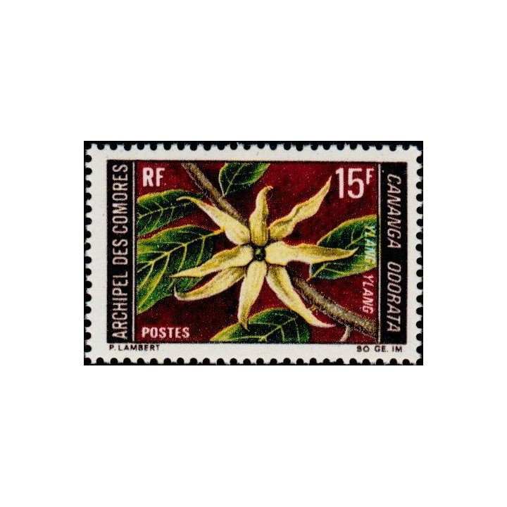 Comores - 054