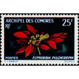 Comores - 056