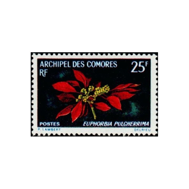 Comores - 056