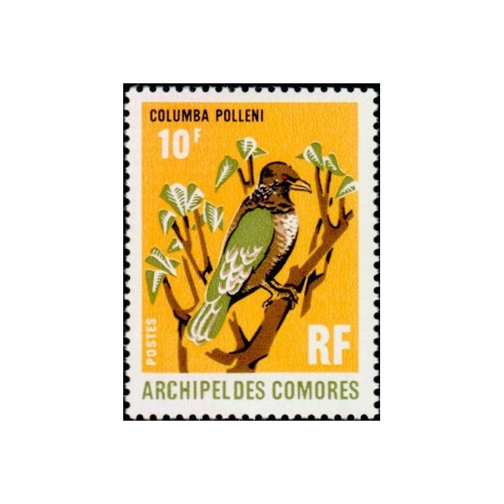 Comores - 064