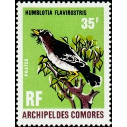 Comores - 067