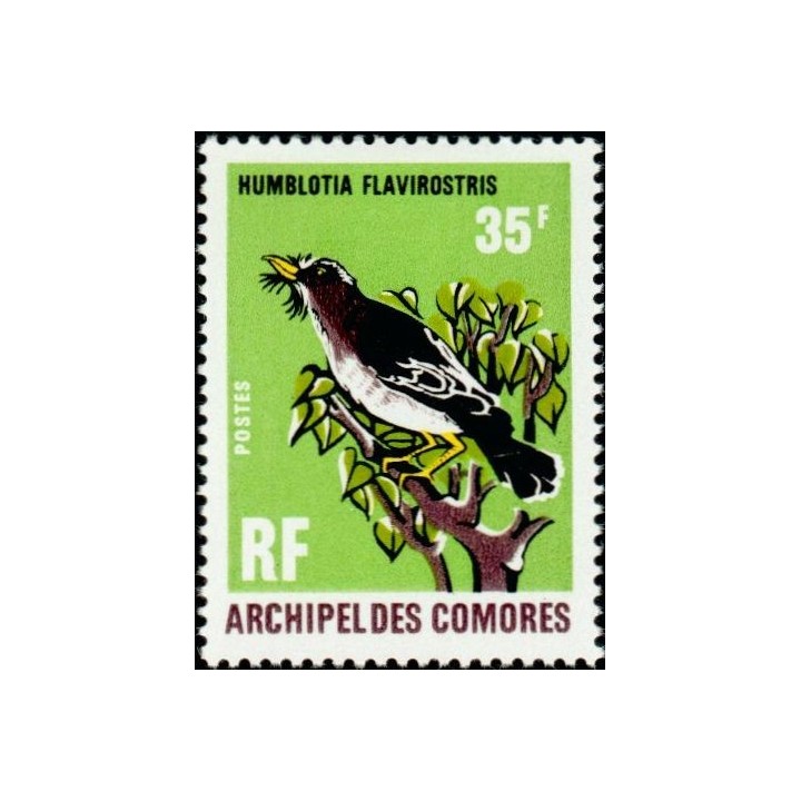 Comores - 067