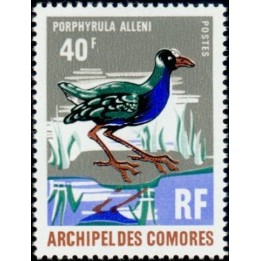 Comores - 068