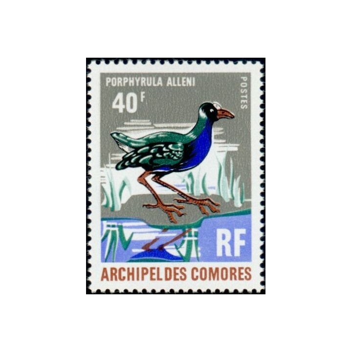 Comores - 068