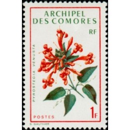 Comores - 069