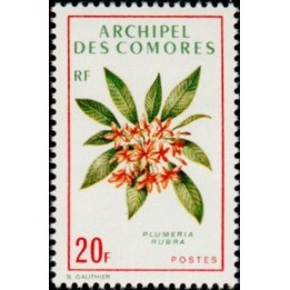 Comores - 071