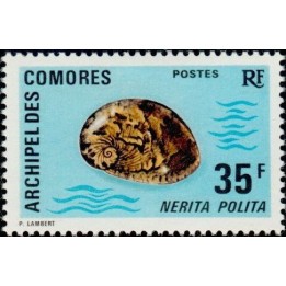 Comores - 075