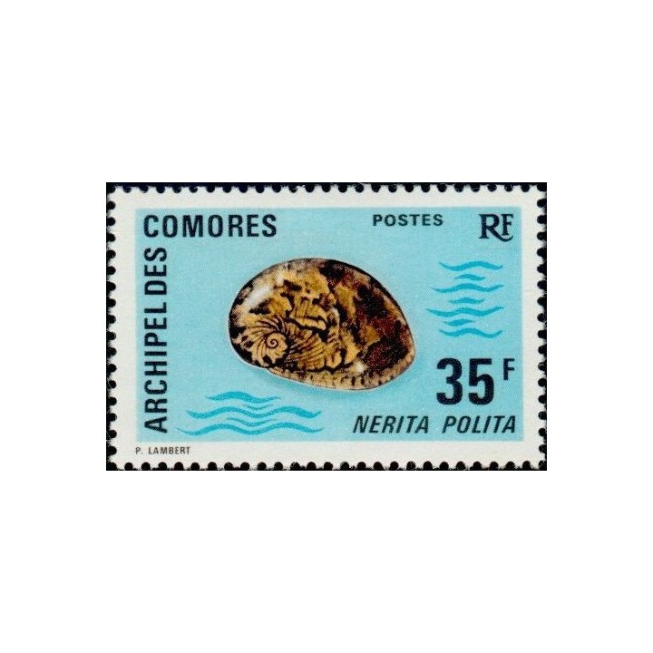 Comores - 075