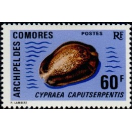 Comores - 076