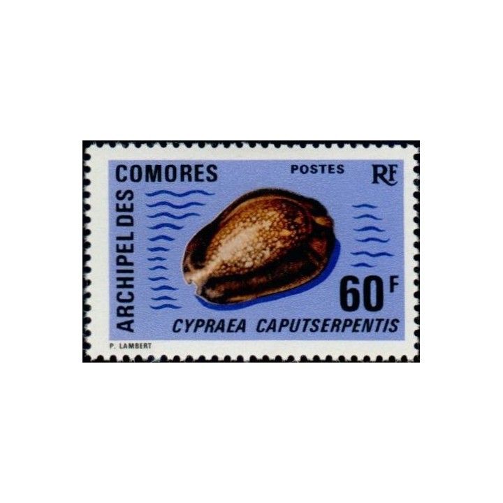Comores - 076