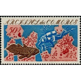 Comores - 104