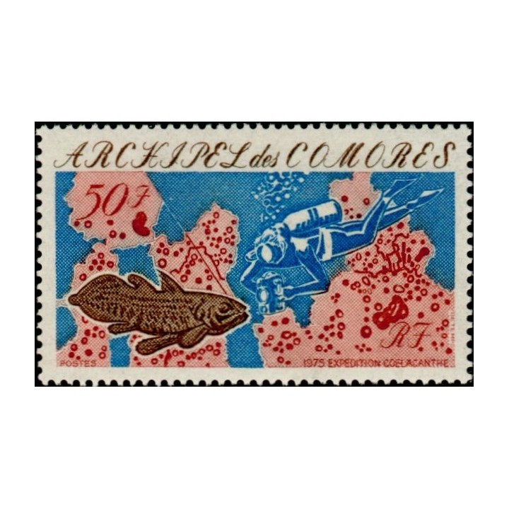 Comores - 104