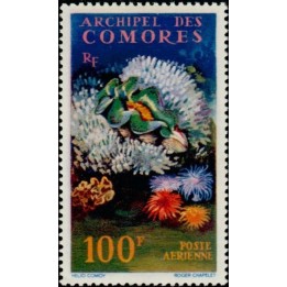 Comores - Poste Aérienne 05