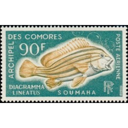 Comores - Poste Aérienne 24