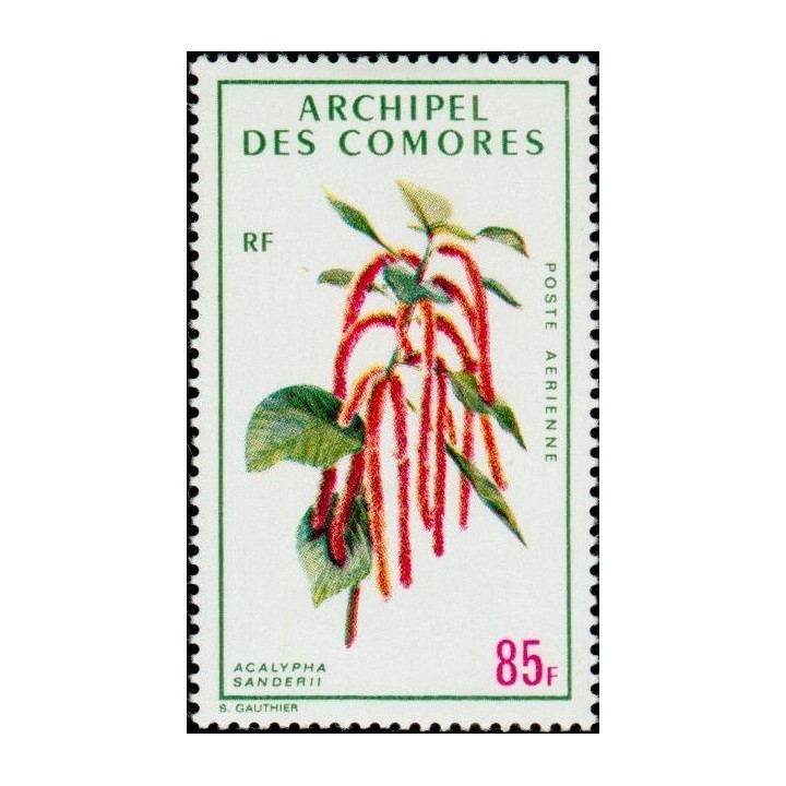 Comores - Poste Aérienne 38