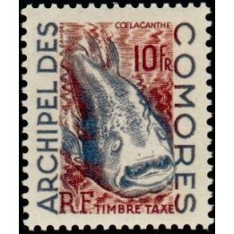 Comores - Taxe 4
