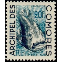 Comores - Taxe 5
