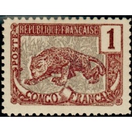 Congo - 027