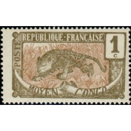 Congo - 048