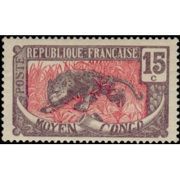 Congo - 053
