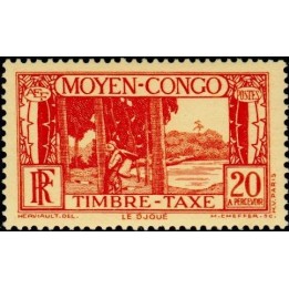 Congo - Taxe 25