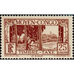 Congo - Taxe 26