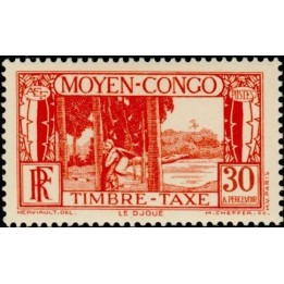Congo - Taxe 27
