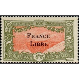 Cote des Somalies - 203