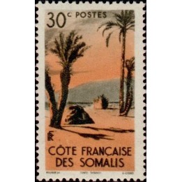 Cote des Somalies - 265