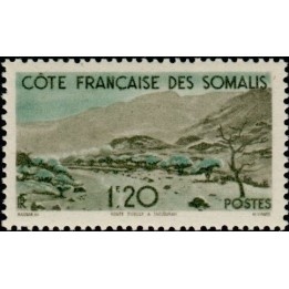 Cote des Somalies - 271
