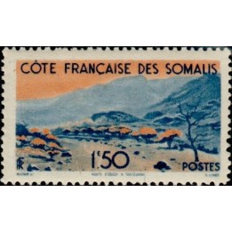 Cote des Somalies - 272