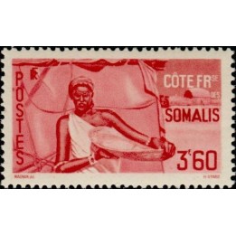 Cote des Somalies - 275