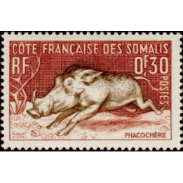 Cote des Somalies - 287