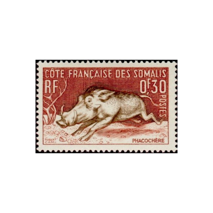 Cote des Somalies - 287