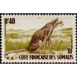Cote des Somalies - 288