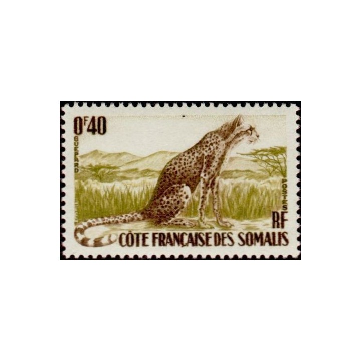 Cote des Somalies - 288