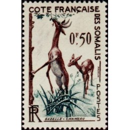 Cote des Somalies - 289