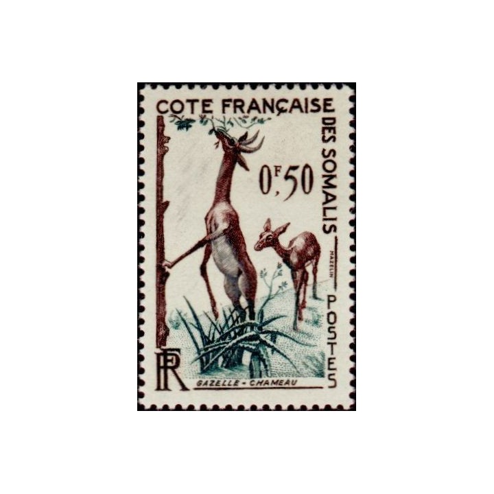 Cote des Somalies - 289