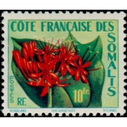 Cote des Somalies - 290